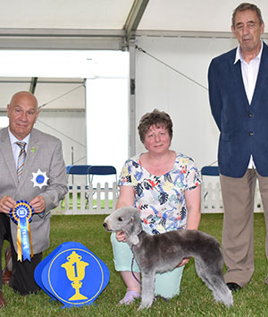 Mrs Y E & Mr C R Bannister Ch Miteymidgets Look Of Love with veteran group judge Mr D Killilea & Mr M Virgo (Committee) 