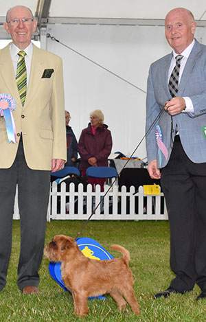 Mr D Guy Donzeata Royal Viscount with puppy group judge Mr A Wight