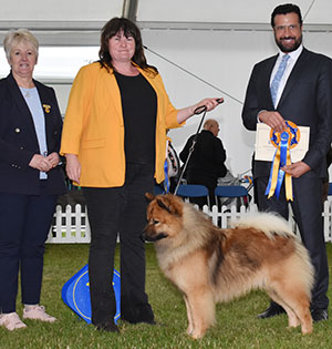 Miss S Watkins Jun Ch Albionspitz Blue Moon Bjw18 Bw19 Ww18,jww18 with group judge Mr M Cocozza & Miss A Summers (Vice Chairman)