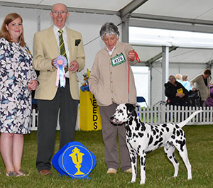 Mrs A P Bliss & Mrs C A Pearson Kelevra What A Guy with puppy group judge Mr A Wight & Ms J McCarthy (Committee)