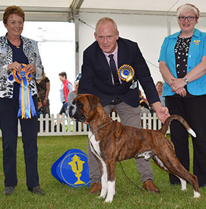 Mr M Griffiths Lanfrese Argento with group judge Mrs J Peak & Mrs L Brown (Committee) 