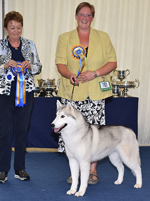 Mrs P Taylor & Mrs H Taylor-Morris Ch Pelenrise Chat A Lot JW Sh.CM with group judge Mrs J Peak