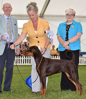 Mrs K Brannan & Mrs S Graham Supeta's Whole Lotta Rosie With Sharhyste with puppy group judge Mr A Wight & Mrs L Brown (Committee) 