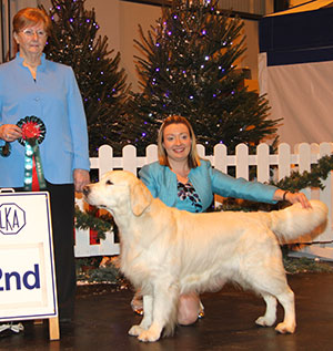 Mrs J Filskov GB Ir Dk Int Sh Ch Abinvale Traguardo with group judge Mrs S Marshall