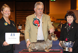 Mr S Rose Ch Ridanflight Ricardo with group judge Miss J Dove & Mrs B Roderick (Treasurer) 