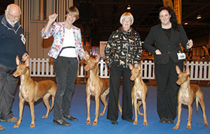 Reeve - Pharoah Hound with breeder group judge Mr D Shields