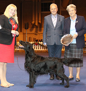 Miss K L Holland Brightmoor Caught In The Act At Flatcharm (Imp) with group judge Mrs C McDonald & Mrs Liz Cartledge (Committee)