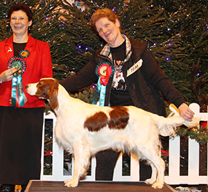 Mrs A Tattersall Sh Ch Alanea Summer Cottage with group judge Mrs C McDonald