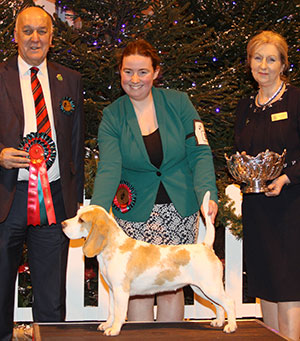 Ms S Kristopha Ch Bayard Forgetmeknot JW with group judge Mr C D Ashmore & Mrs J Thomson (Committee)