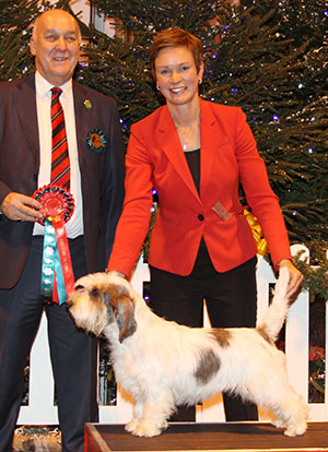 Mrs S Robertson, Mrs W Doherty & Mr R Scott Ch Soletrader Annie Mac with group judge Mr C D Ashmore