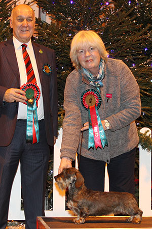 Mrs Z Thorn Andrews Ch Drakesleat Scent Sybil with group judge Mr C D Ashmore