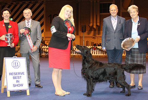 Miss K L Holland Brightmoor Caught In The Act At Flatcharm (Imp) with BIS judge Mr E Paterson, Mrs C McDonald (Gundog judge) & Mrs Liz Cartledge 