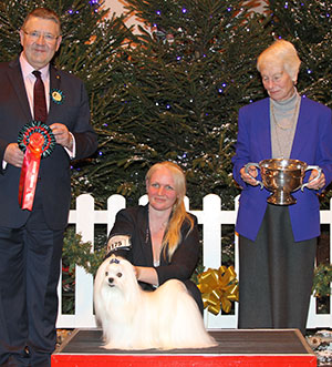 Miss N Welbourn Ch Zumarnik Stars N Stripes with group judge Mr T Mather & Mrs L Jupp (Committee)