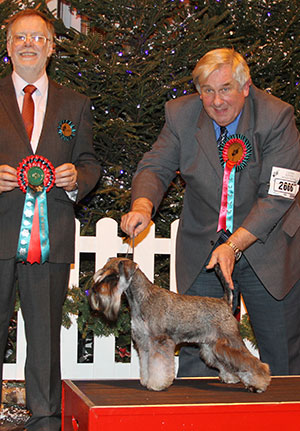 Mr R Newman & Mr B Day Risepark Right Charmer with group judge Mr M Gilchrist 