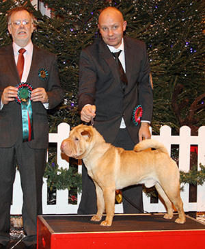 Mr A Stephenson & Mr D Rees Loupei Top Rankin with group judge Mr M Gilchrist