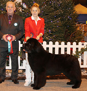 Mr G Cockerill & Miss K Forster Merrybear Alejandro JW Sh CM with group judge Mr R C Kinsey