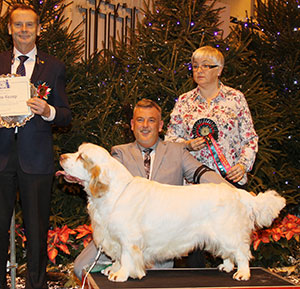 Mr L Cox, Ms C Reynolds & Mr B Crocker Sh Ch Ir Ch NL Ch Wyclydo's Fast As The Wind At Gl with group judge Mr H Van Den Berg