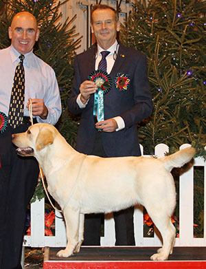 Mr R Lennox & Mr R Morgan Sh Ch Wilenmory Collabro JW with group judge Mr H Van Den Berg 