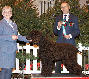Mrs J Carruthers Gloi Donn All Or Nothing At Stanegate with group judge Mr H Van Den Berg 