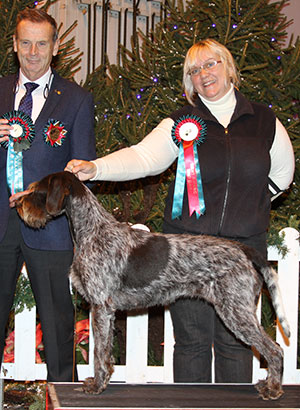 Miss S Pinkerton Sh Ch Esmee Dragon From Rhona's Home And Bareve with group judge Mr H Van Den Berg