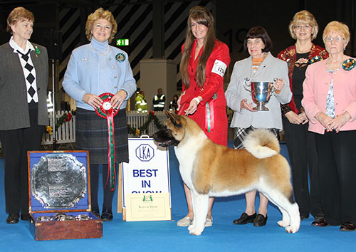 Ms C Bevis, Ms F Bevis & Mrs R Corr Ch Stecal's Love At First Sight JW with BIS judge Mrs R Spore-Willes, Mrs B Roderick (Treasurer), Mrs R Knight (Committee) & Mrs B Peach (Committee) 