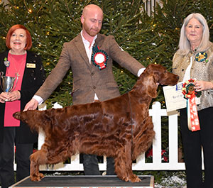 Mr B A Crocker Sh Ch Copper's War Of Roses (Swed Imp) with group judge Mrs P Butler-Holley & Mrs L King (Committee)