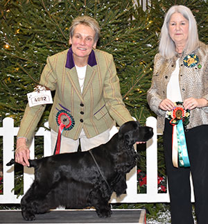 Misses S & A Kettle Sh Ch Lujesa Impossible Dream with group judge Mrs P Butler-Holley