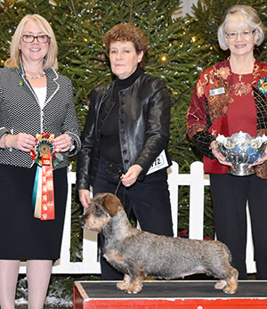 Mr & Mrs D & K McCalmont Ch Silvae Trademark with group judge Mrs R Barney & Mrs S Ergis (Committee)