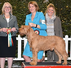 Mrs J McDonald-Ulliott Int Ch Hibeck Dino with group judge Mrs R Barney 