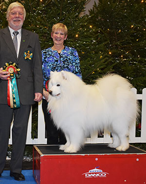 Mrs V Freer & Mrs S Smith Ch Nikara Diamond Dancer JW with group judge Mr M Taylor