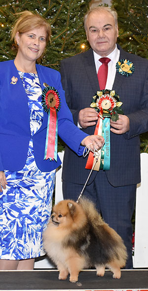 Miss P S D'Arcy & Mr N Duffield Ta Bozi's Wild Heart Star At Paavali (Imp Nor) with group judge Mr G W Farmer