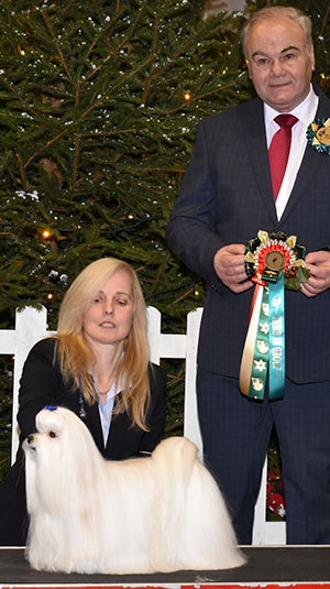 Miss S Jackson & Ms A Egan Ch Benatone Gino D'acampo with group judge Mr G W Farmer