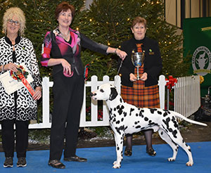 Mrs S Neath-Duggan & Miss S Baker Ch Buffrey Incognito By Dalleaf JW with group judge Mrs L Dunhill & Ms G Marley (Secretary)