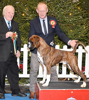 Mr M Griffiths Ch Lanfrese Argento with group judge Mr J Luscott