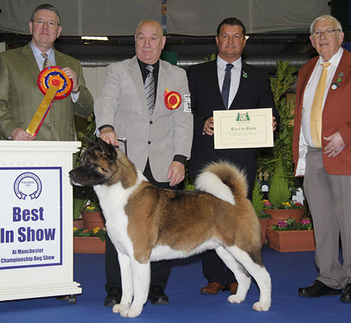 Mrs J Killilea & Mrs A Clure Ch Redwitch Will I Am with BIS judge Mr T D Mather, Mr P Harding (Secretary) & Mr R Gregory (Chairman)