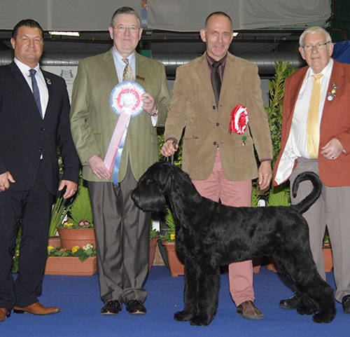 Mr & Mrs K Cullen Primariesen Schwarze Prinz At Philoma with BIS judge Mr T D Mather, Mr P Harding (Secretary) & Mr R Gregory (Chairman)
