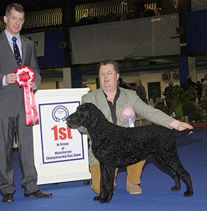Mr D C Todd & Mr M D Rahman Springcurl Leather And Lace with group puppy judge Mr J SM Thirlwell
