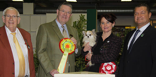Mrs L J Adams Ch Hollyel Topaz Chancer JW with BIS judge Mr T D Mather, Mr P Harding (Secretary) & Mr R Gregory (Chairman)