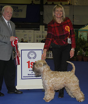 Mrs A & Mr M Fallon Ch Janeyjimjams Jenson JW Sh.CM with group judge Mr J Luscott