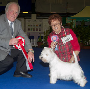 Mrs J A Griffiths Armadale's Rosebud For Karamynd (Imp) with puppy group judge Mr J Luscott 