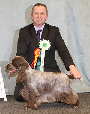 Mr P Carpenter Lynwater Belgian Chocolate JW Sh CM