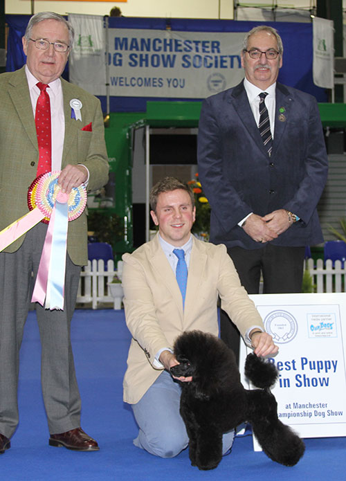 Isherwood, Howard, Rawley & Summers Afterglow Foxtrot Oscar with BPIS judge Mr R Irving & Mr S Atkinson (Vice Chairman)
