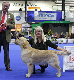 Mrs S M Zubair & Miss S A Loach Billy Elliot De Ria Vela (Imp) with puppy group judge Mr R Irving