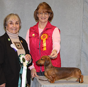 Mrs S M Ergis Ch Siouxline Aaron JW with group judge Mrs Z Rawson