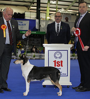 Mr T & Mrs B Hayward Ch Clingstone's Hot Shot at Foxearth (Imp) with group judge Mr J Ritchie & Mr S Atkinson (Vice Chairman) 