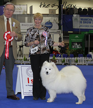Mrs S Brandenberg Nikara Chasing Dreams For Taronakits with puppy group judge Mr R Irving