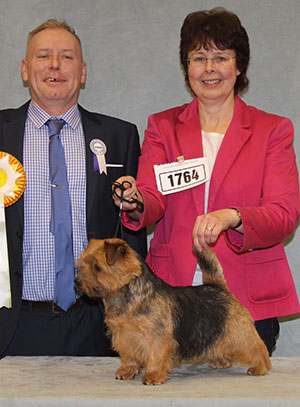 Mrs C S Thompson-Morgan Allright Black Bess (Imp) with group judge Mr M Vickers