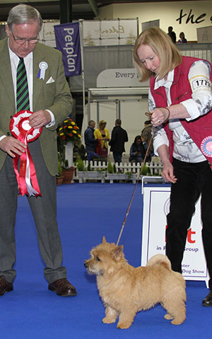 Mrs C Hitchen Kreatin Extra Mile with puppy group judge Mr R Irving