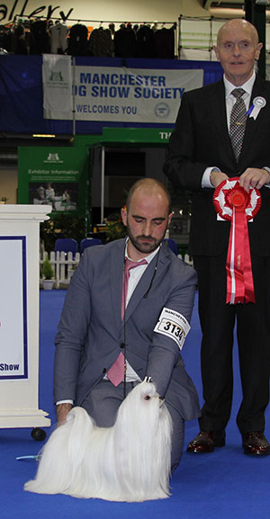 Mr F Prosperi Cinecitta Ian Somerhailder with group judge Mr D Guy 