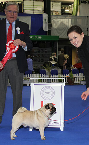 Miss S Haseley & Mr N Baxter Buzleo Office Fool with puppy group judge Mr R Irving